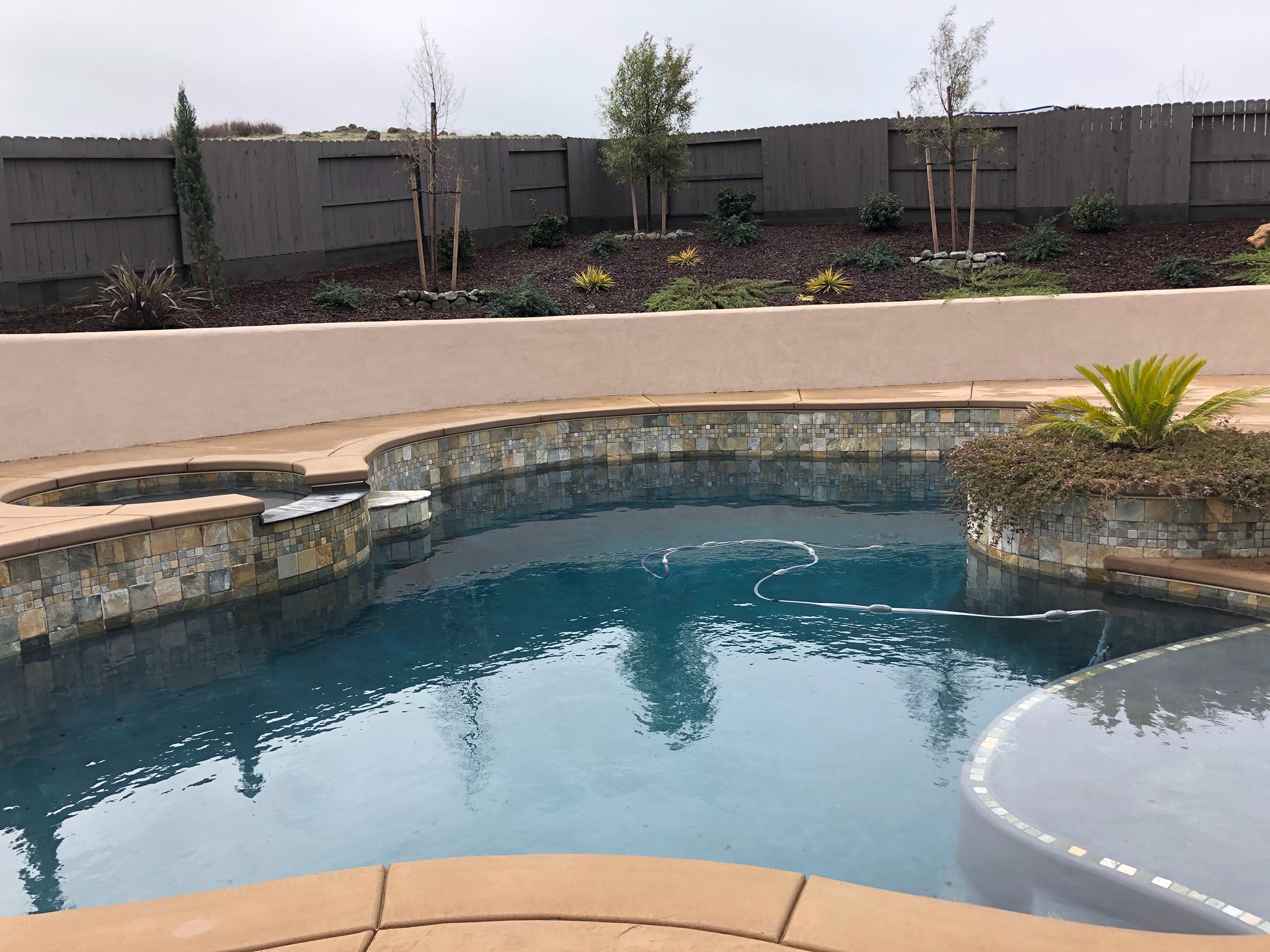 Freeform Swimming Pools Sac Pool Pros Sacramento Pool Service