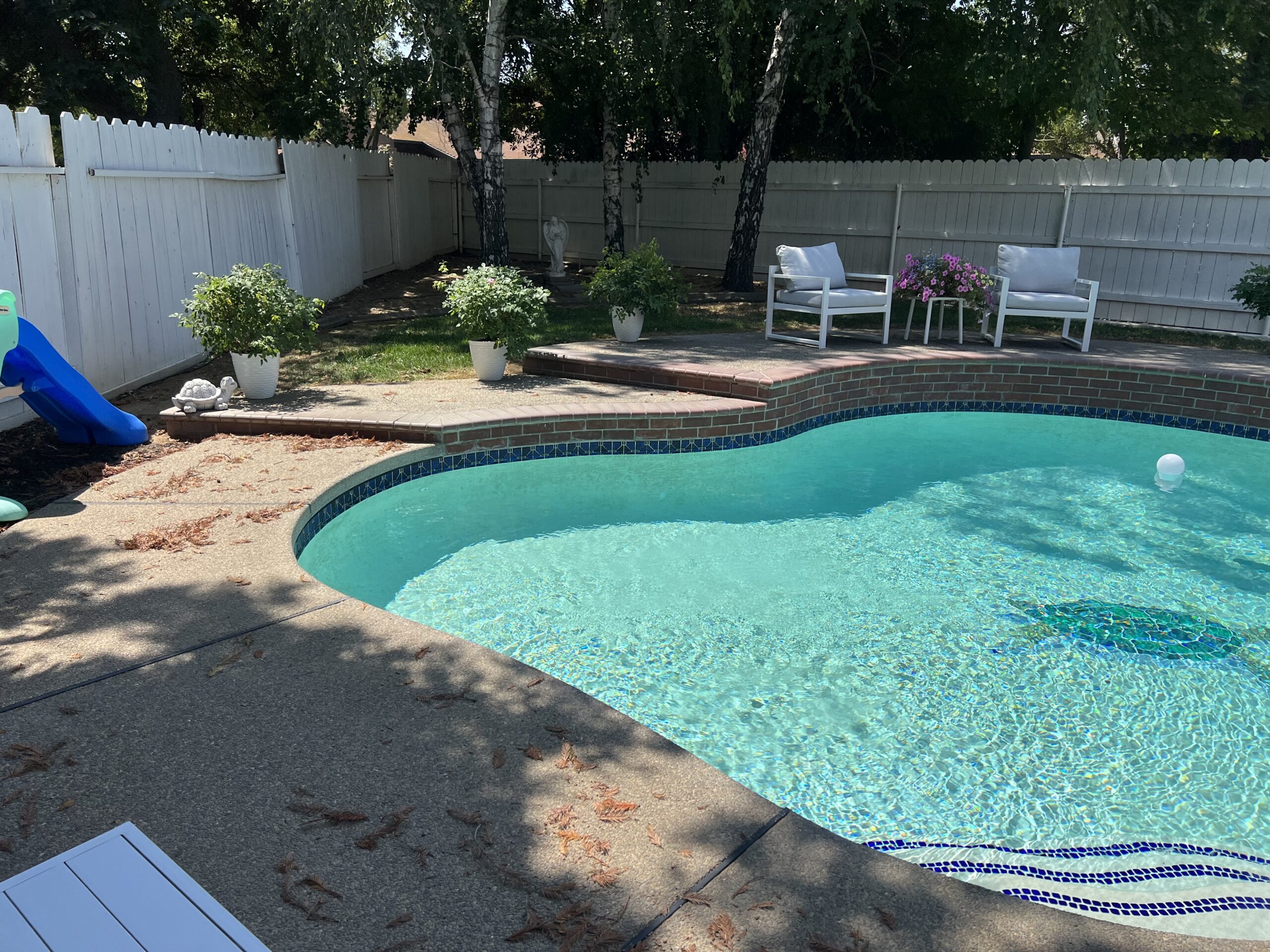 Backyard swimming pool for proper water filtration and circulation article