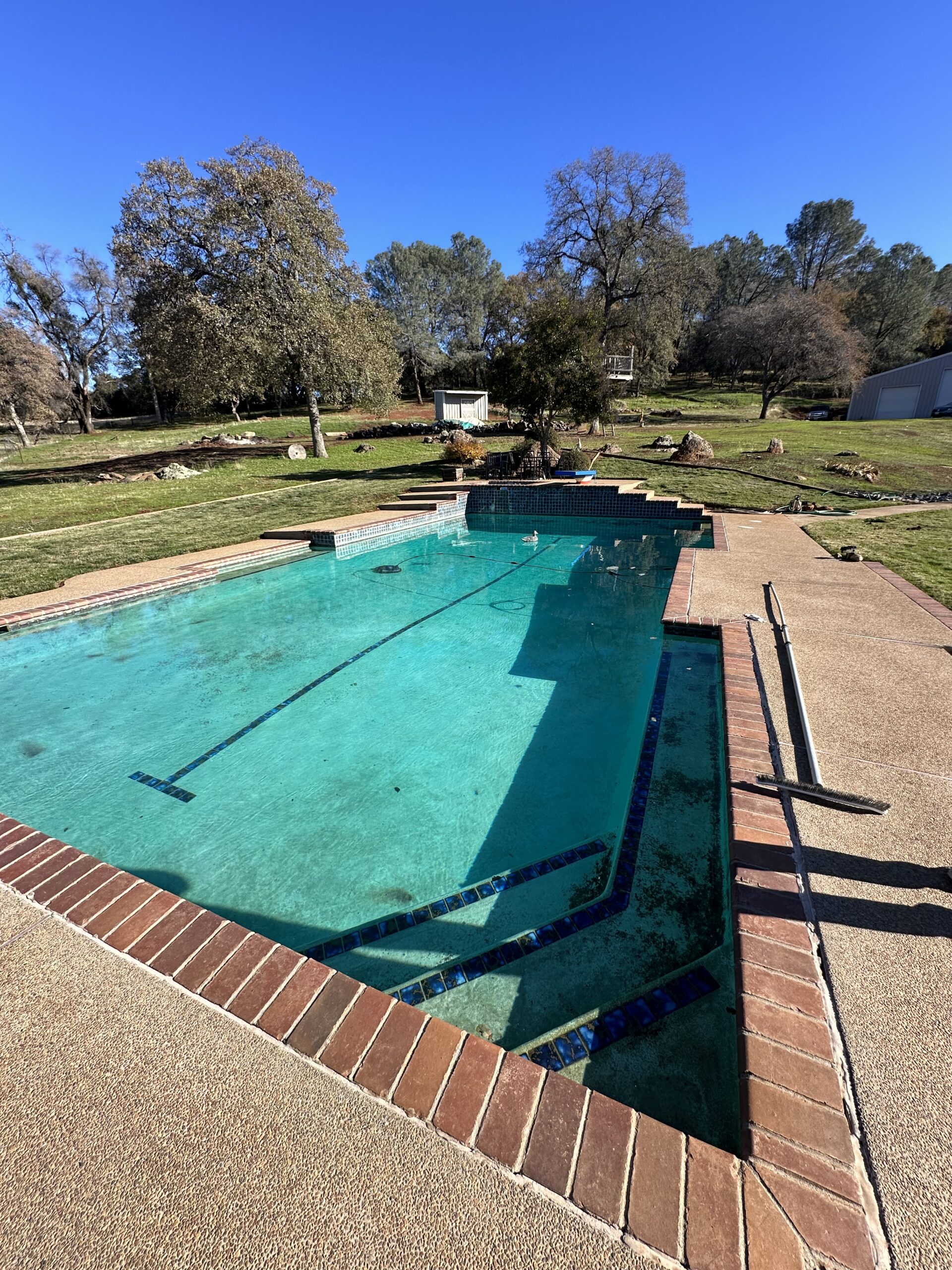 20-year-old white pool plaster covered in black algae before remodel