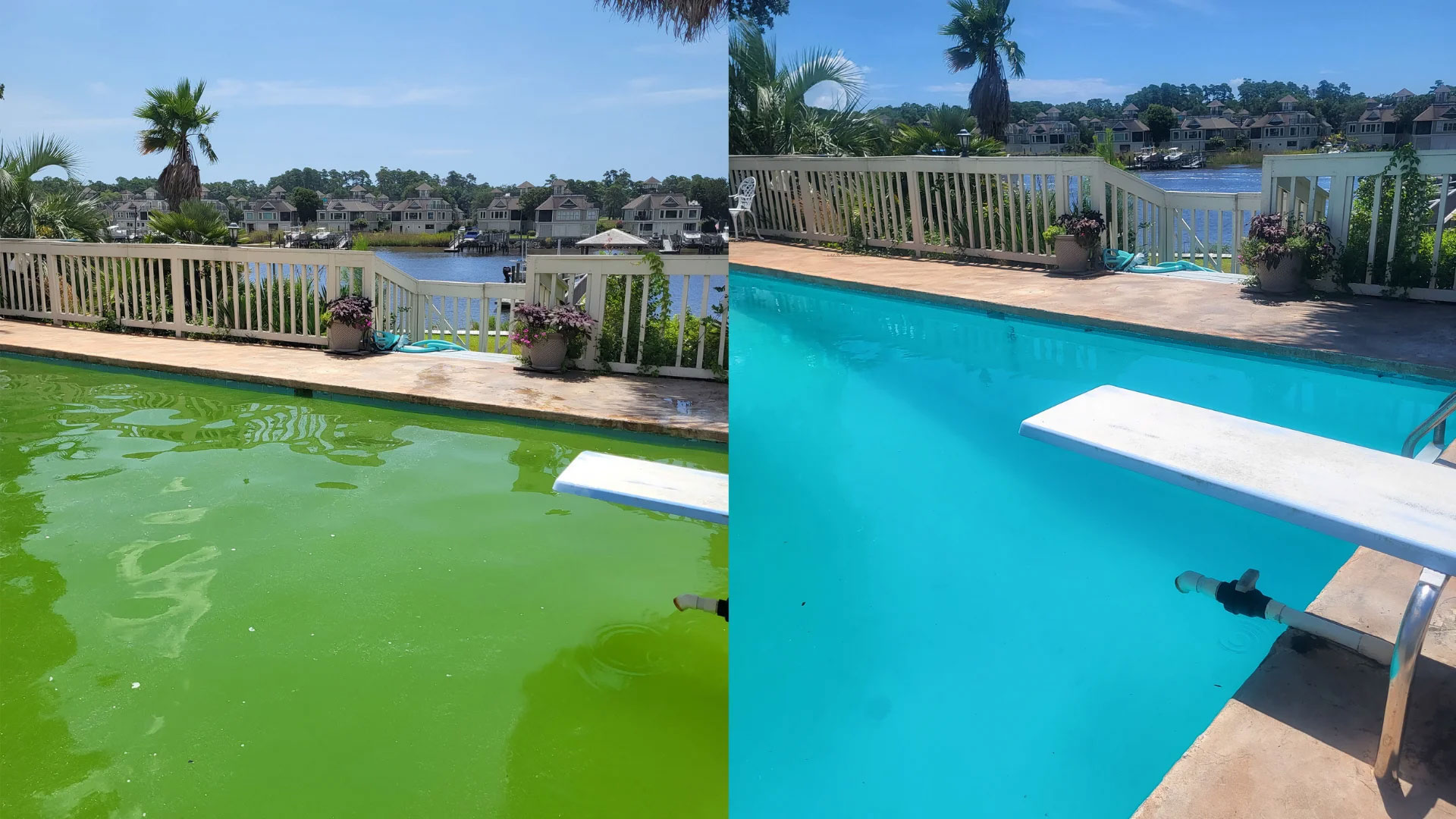 Before and after green pool cleaning transformation