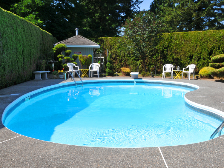 Finished remodeled swimming pool with refreshed blue water and backyard setting